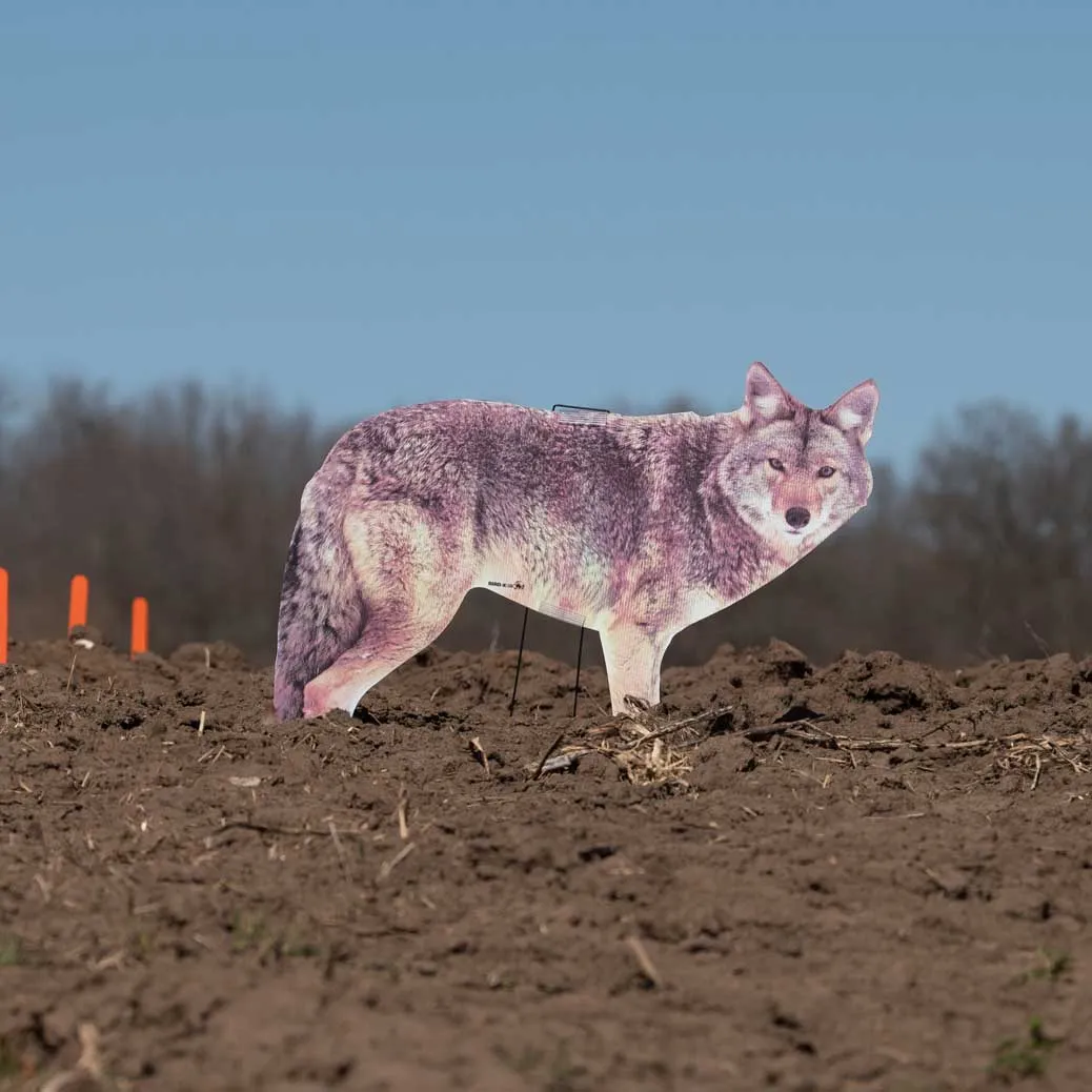 Two-Dimensional Coyote Decoy - Goose Repellent