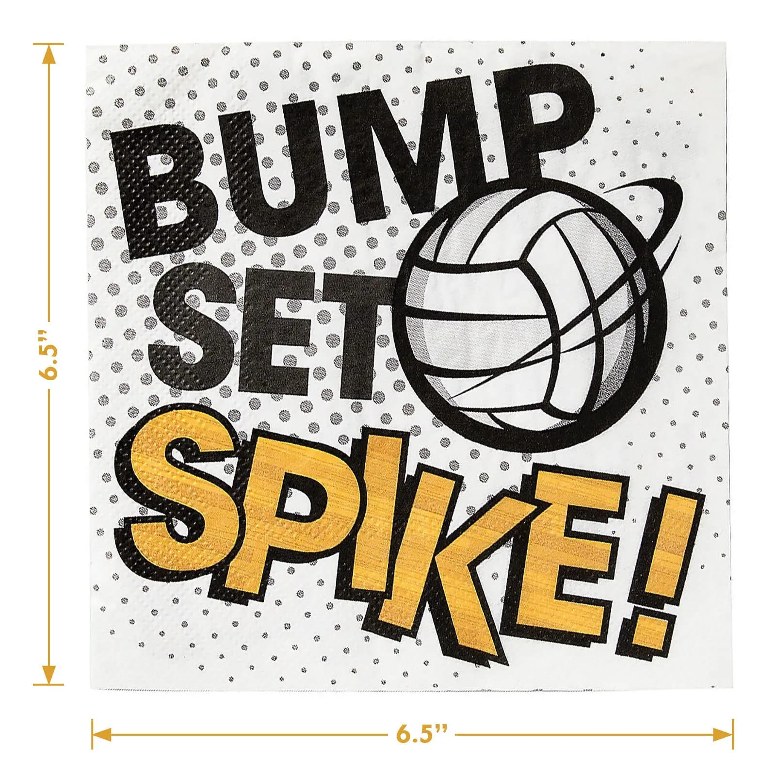 Volleyball Party Supplies Sports Team Paper Dinner Plates and Bump, Set, Spike Lunch Napkins (Serves 16)